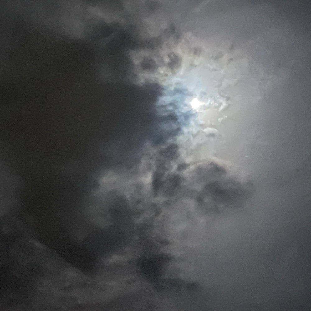 Meet your Posher, Sinzeal